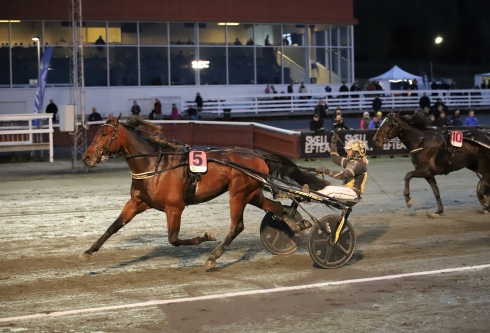 Sandra Eriksson och Devils Tongue vid segern i V75 på Skellefteå i fjol. Foto av Sophie Nyblom TR Bild