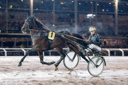 Dion Desselaar körde nytt svenskt rekord för utländska tvååringar med Novato i den penningstinna Breeders Course-finalen. Foto: Mikael Rosenqvist/TR Bild 