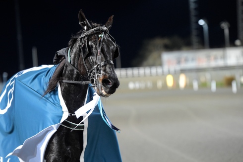 Foto av Lars Jakobsson/TR Bild