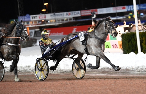 Mats E Djuse. Foto av Malin Albinsson TR Bild