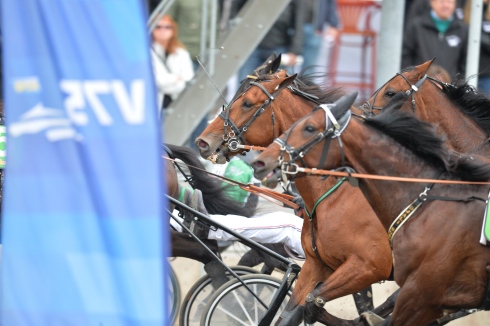 tortravet i påsk flyttas till Solvalla. Foto: Thomas Blomqvist, TR Bild