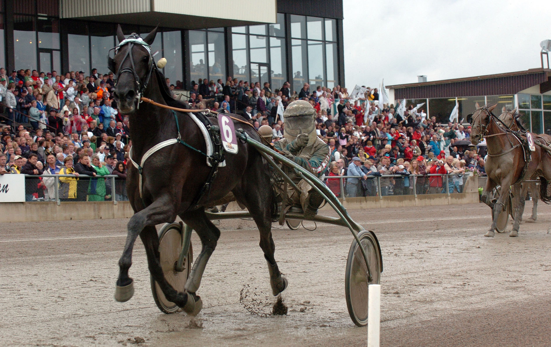 Lie Detector är ensamt sto på Travkompaniets tio-i-topplista över vinstrikaste hästar. Här vinner hon det lopp som kanske är allra viktigast för svenska travston, Stochampionatet 2008. Foto: Claes Kärrstrand.