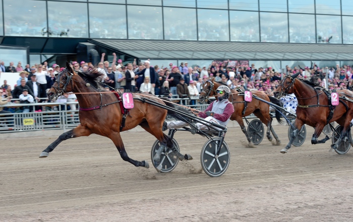 Hohneck vinner Elitloppet. Foto av Lars Jakobsson TR Bild