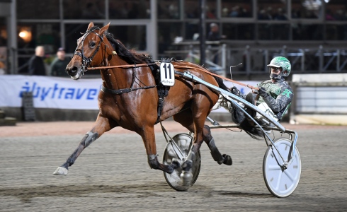 Foto av Malin Albinsson/TR Bild