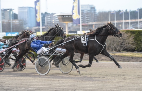 Edelweiss vid en seger. Foto av Lars Jakobsson TR Bild