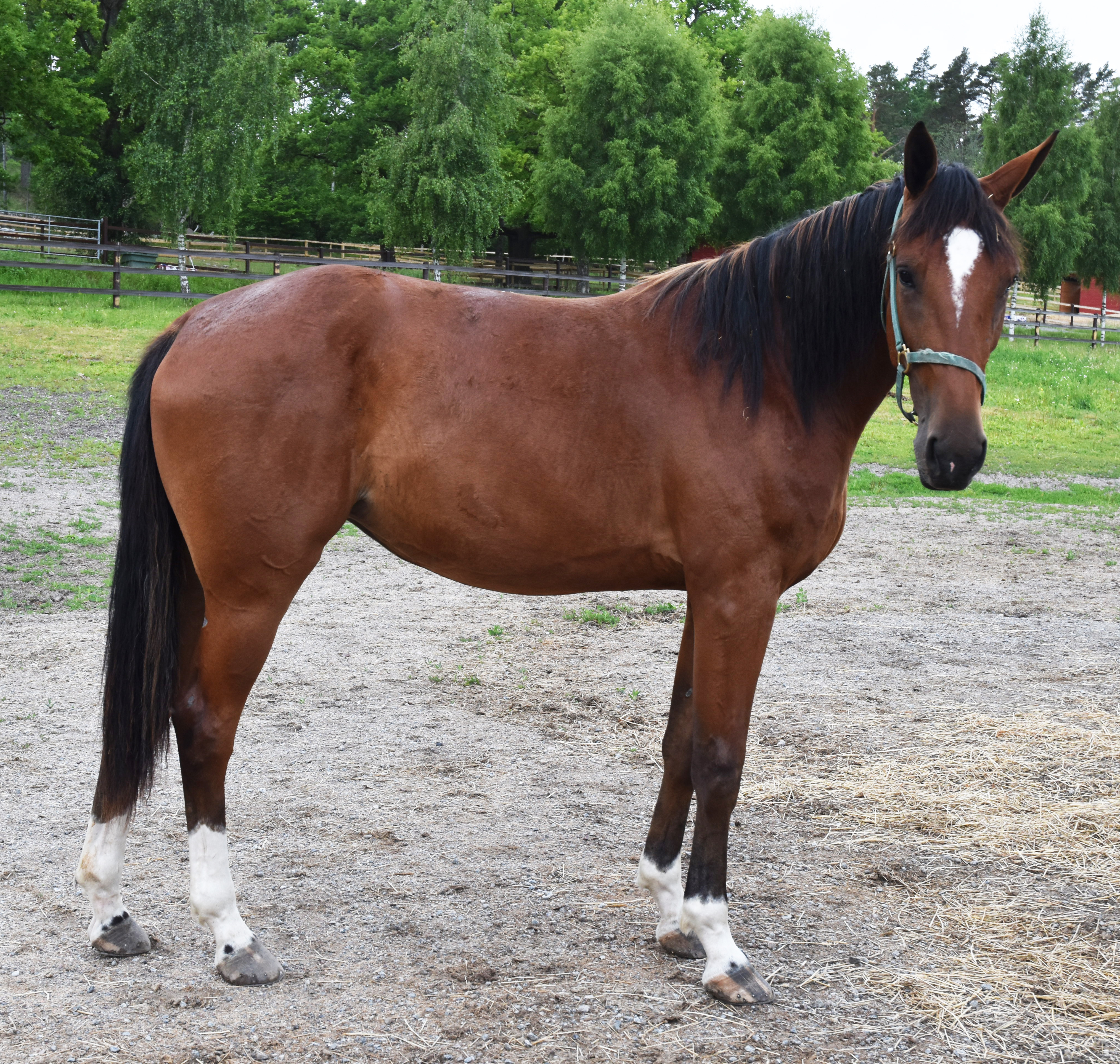 Futurity220622-2