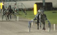 blixt-arrow-mal-lj_080109_22012