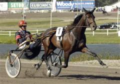 giant_superman_larsson_fredrik_ck_080206_183627