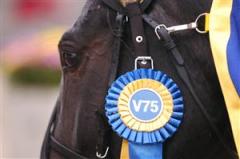 opal_viking_v75rosett_tb_080414_115351