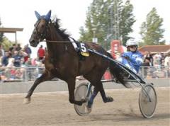 Plantagenet. Foto: Kanal 75