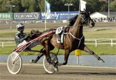 red_chili_pirat_takter_johnny_ck_080728_145716