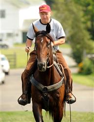 Ray Schnittker ridtr&auml;nar sin stj&auml;rna Deweycheatumnhowe flera g&aring;nger i veckan. Foto: Lars Jakobsson