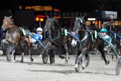 Merriment har vunnit tre segrar på Solvalla i år, här i uttagningsloppet till Kriteriet. Foto: ALN