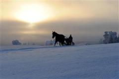 Pernilla Stenhammar och Troja Torp ute på en träningsrunda. Foto: Tony Ryttar