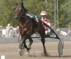 euro-staro-crown-lj_090122_15130