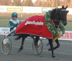 Jaded fick med sig några lagerkransar under 2008, i år kan det bli fler. Foto: Travkompaniet