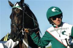 Lie Detector, Travkompaniets b&auml;sta sto, g&ouml;r &aring;rsdebut inom V64-spelet p&aring; Solvalla. Som alltid med &Ouml;rjan Kihlstr&ouml;m i sulkyn. Foto: Maria Holm&eacute;n