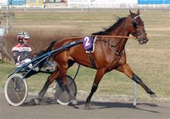 Med sex raka segrar bakom sig &auml;r l&aring;ngstegade Vanessa du Ling en het aspirant till segern i Drottning Silvias Pokal. Foto: Lars Jakobsson