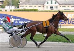 Lisa America. Foto: Stefano Grasso