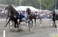 nu_pagadi_mal_mg_090707_21293