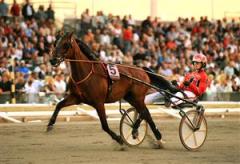 colombian_necktie_johan_mh_090803_154852