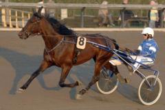 1_16562_springer_om_heatea