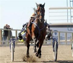 spring-erom-bakom-startbilsvingen-lj_091214_11340