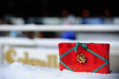 julstammning_6117_091223_2392