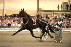 Elitloppstvåan Jaded närmar sig årsdebut. Foto: Maria Holmén