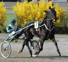 Orecchietti-100512-6