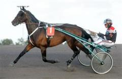 Monster Drive Foto: Kanal 75