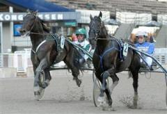 jaded-kval-mal-lj_100915_171110