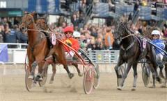 Tamla Celeber visade att hon är kullens drottning med eftertryck när hon vann Svenskt Trav-Oaks i imponerande stil för Örjan Kihlström. Foto: Lars Jakobsson.