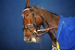 commandercrowe-huvud_mh_101007_15412