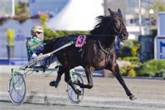 muscles_101022_18227