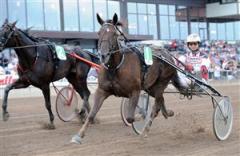 Viola Silas storfavorit igen på Solvalla. Foto: Claes Kärrstrand