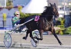 muscles-wiking-br-rs_101026_171634