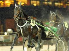 quarcio_hetledningen_110110_192639