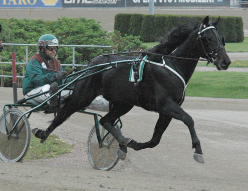 Panne-De-Moteur-110519-1