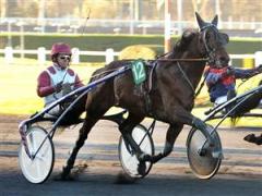 ready-cash-lj_111005_16205