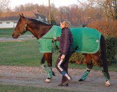 Maharajah och Lisa har haft lugna mysdagar efter Prix D´Amerique. Foto; A.Lindblom/Travkompaniet