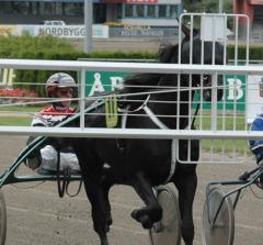 På Elitloppssöndagen hoppas vi på att Panne De Moteur finns med bakom starbilen i fyraåringseliten. Foto; A.Lindblom/Travkompaniet