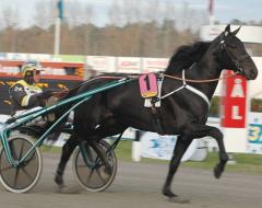 Panne-De-Moteur-121103-3