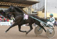 Orecchietti-