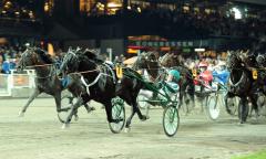 Panne De Moteur vinner Jubileumspokalen. Foto; C.Kärrstrand/Hingstfotografen