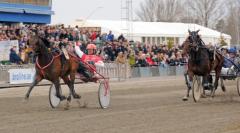 Harry Haythrow och Peter Untersteiner fick ingen inbjudan till Elitloppet efter segern i gulddivisionen på Örebro i maj i fjol. Skulle ekipaget göra om bedriften i år har man biljetten till Solvalla bokad.                    	            	        	                   		                             Foto av LARS JAKOBSSON