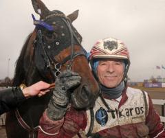 Lutfi Kolgjinis stjärna Raja Mirchi är klar för Olympiatravet.                    	            	        	                   		                             Foto av LARS JAKOBSSON