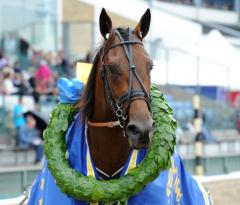 Rolex Bigi förlängde på sin segerrad på måndagen och fixade även jackpot på V64-spelet.                    	            	        	                   		                             Foto av LARS JAKOBSSON