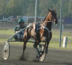 Scotch-Whisky-140708-1