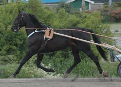 Le-Lahar-140617-1